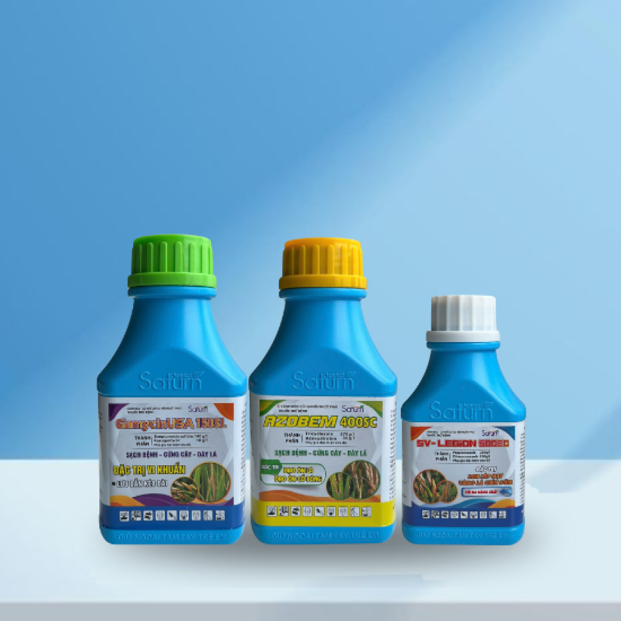 BỘ 3 SIÊU ĐẲNG