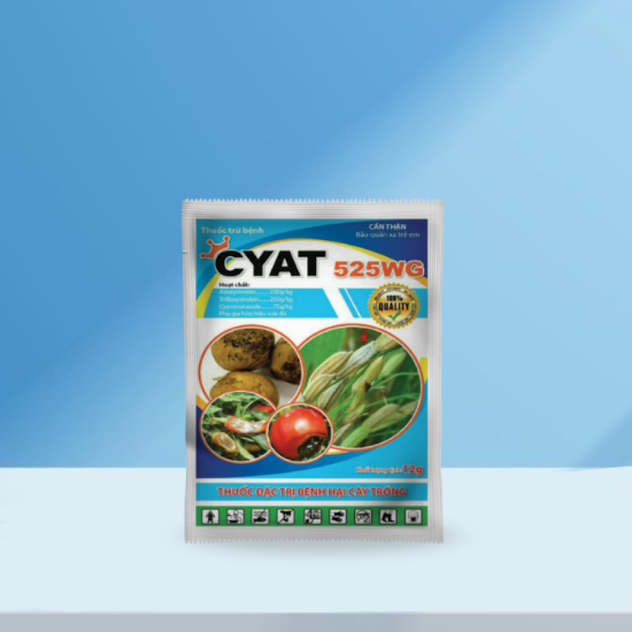 CYAT 525WG