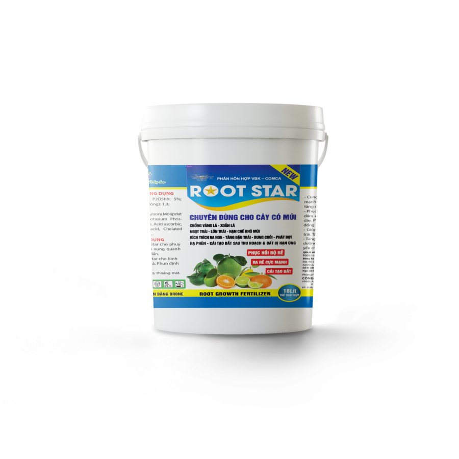ROOT STAR