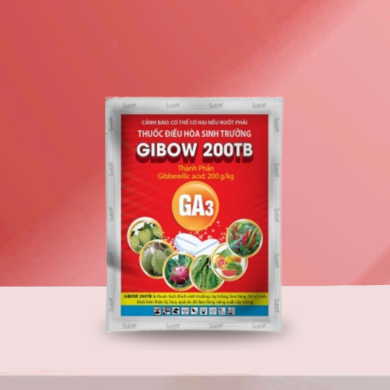 GIBOW 200TB